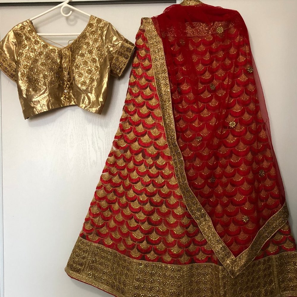 Brand New Net lehenga choli